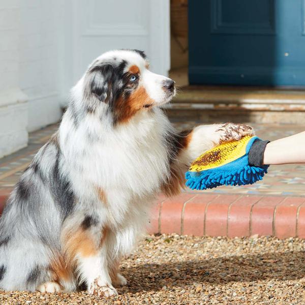 DoGlove Fellpflege-Handschuh