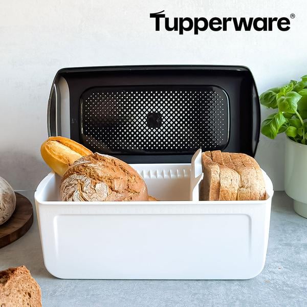 Tupperware BreadSmart Brotkasten inkl. praktischem Box-Trenner GRATIS